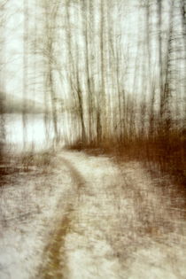 Path to the lake by Christina Sillèn