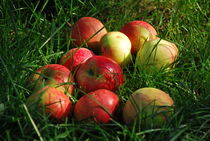 Äpfel by Peter Sebera