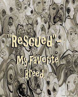 Rescued-my-favorite-breed-portrait