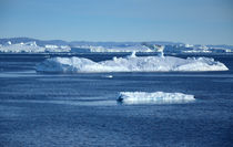 Eisberge in der Disco Bucht von Iris Heuer