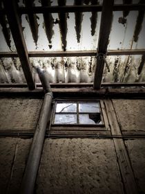 zerbrochenes Fenster by Andrea Meister