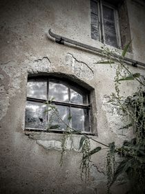 Am Fenster by Andrea Meister