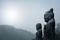 Guardians on the Spirit Path. Qianling, China von David Lyons