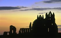 Gothic Ruins. Whitby, Yorkshire von David Lyons