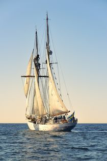 Swedish training schooner Falken. Baltic Sea #2 by David Lyons