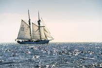 Swedish training schooner Falken. Baltic Sea #3 by David Lyons