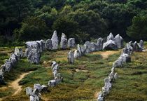 Kermario prehistoric alignments. Carnac, Brittany by David Lyons