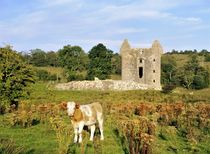 Monea Castle. Enniskillen, Ireland von David Lyons