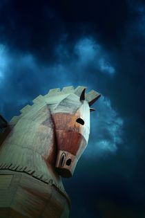 Trojan Horse. Anatolia, Turkey von David Lyons