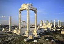 The Temple of Zeus. Laodicea, Turkey by David Lyons