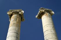 The Temple of Artemis at Sardis von David Lyons