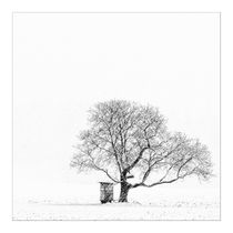 Der Baum by foto-m-design