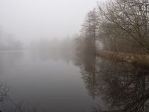 Geheimnisvoller See im Nebel von Nicole Bäcker