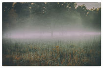 White Fog von Chris Mari