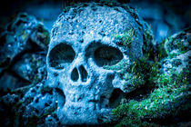 Skull by Dr. Werner Csech