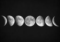 Moon Phases by zapista