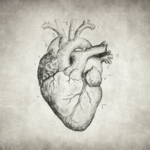 Heart by zapista