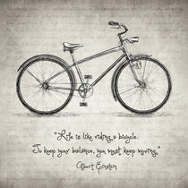 Albert Einstein Bicycle Quote by zapista