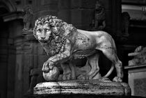 The Lion of the Piazza della Signoria, Florence. B&W von David Lyons