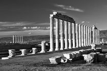 The ancient city of Laodicea. Denizli, Turkey #1. B&W by David Lyons