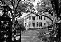 Stanton Hall plantation house, Mississippi von David Lyons