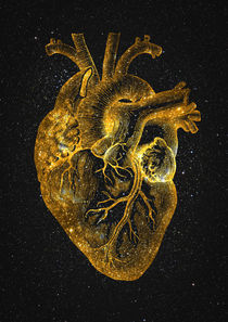 Heart Nebula by zapista