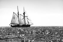 Swedish training schooner Falken. Baltic Sea #3. B&W von David Lyons