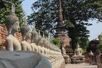  Ayutthaya budas von Tricia Rabanal