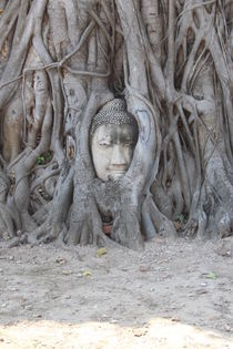 Buddha, Wat Maha That Temple by Tricia Rabanal