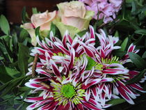 kleiner Blumenstrauß mit Rosen und lila-weißen Chrysanthemen von assy