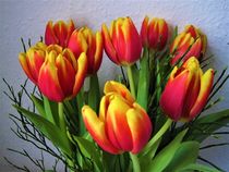 rote-gelbe Tulpen von assy