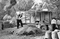 Threshing corn the old way. Ireland. B&W von David Lyons