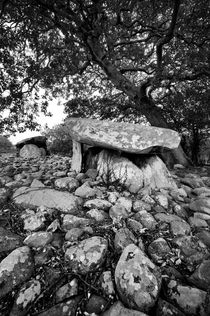 The 6000 year old tombs of Dyffryn Ardudwy, Wales. B&W von David Lyons