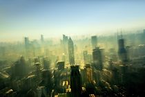 Metropolis Shanghai  by David Lyons