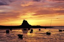 Lindisfarne sunrise and Holy Island Castle von David Lyons