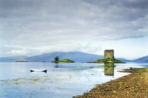 Castle Stalker on Loch Linnhe. Summer von David Lyons