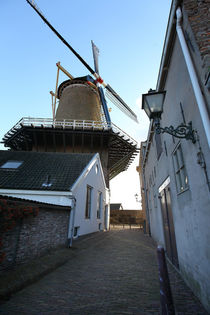 Wijk bij Duurstede. Windmill. by Galina Solonova