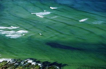 Texture-green-sea-waves-01b-16-copy