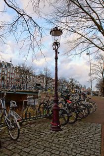 Lamp. Amsterdam. by Galina Solonova