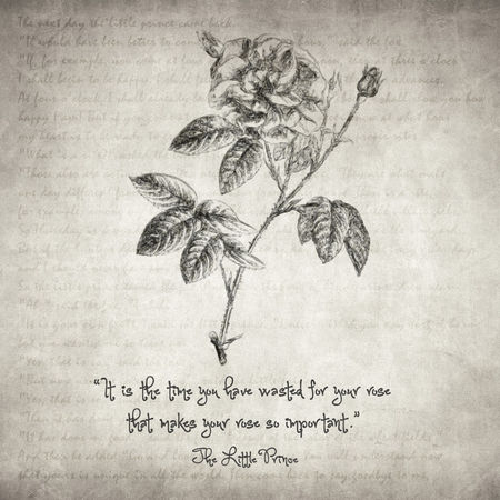 Little-prince-rose-quote