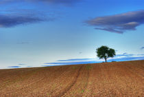 Beautiful Loneliness :: HDR by philippnb