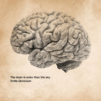 The Brain Is Wider Than The Sky by zapista