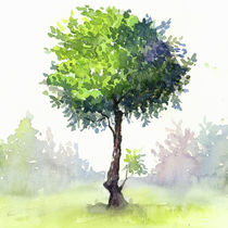 Tree Study von zapista