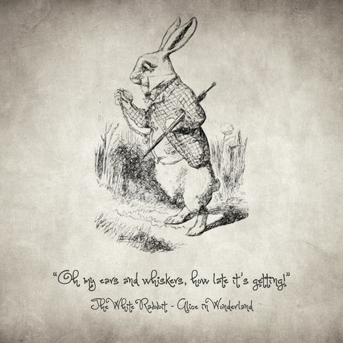 The-white-rabbit-quote-taylan-soyturk