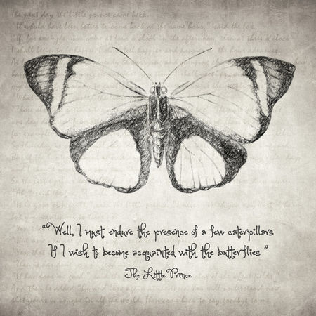 Butterfly-quote-the-little-prince-taylan-soyturk