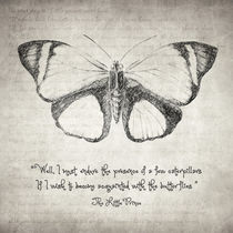 Butterfly Quote - The Little Prince von zapista