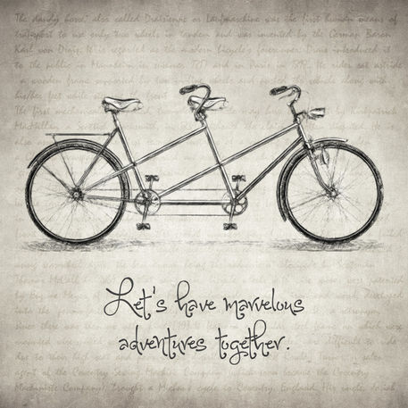 Bicycle-quote-taylan-soyturk