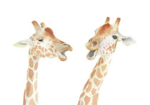 Giraffes Watercolor by zapista