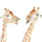 Giraffe-watercolor-taylan-soyturk