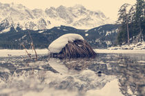 Schneebedecktes Grasbüschel im Eibsee von Franz Sußbauer